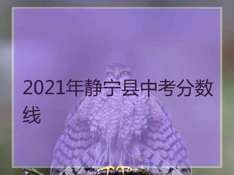 2021年静宁县中考分数线