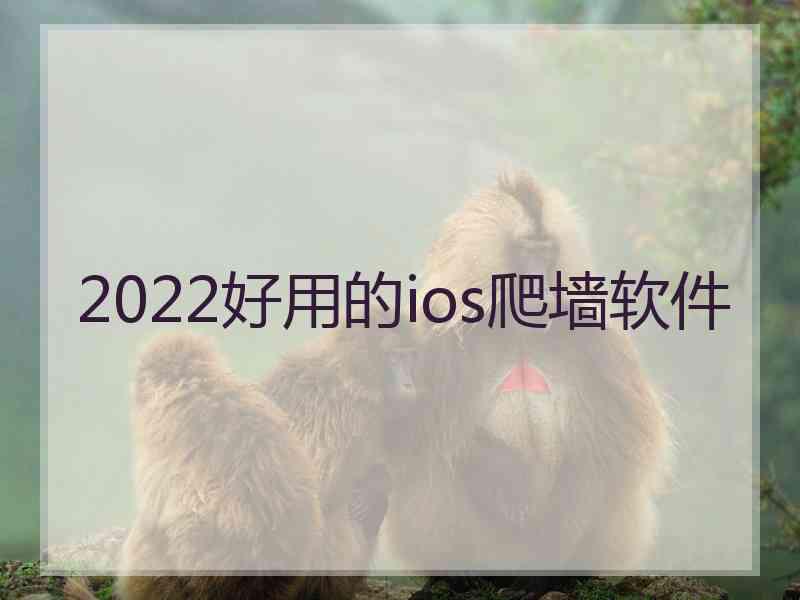 2022好用的ios爬墙软件