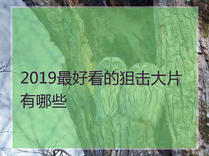 2019最好看的狙击大片有哪些