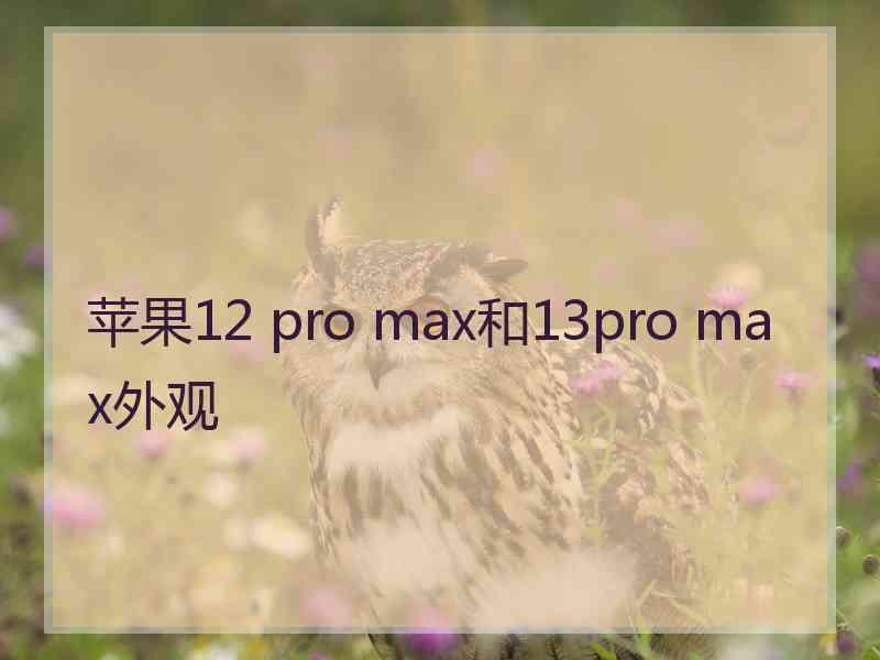 苹果12 pro max和13pro max外观