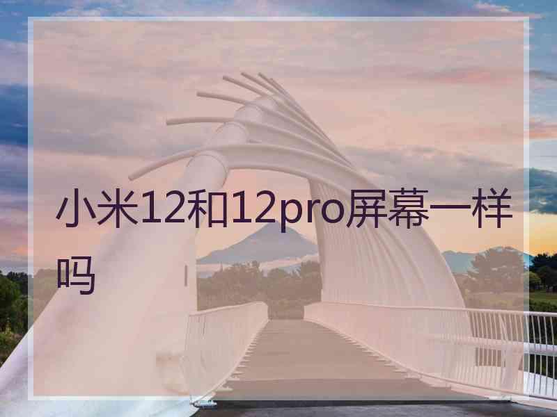 小米12和12pro屏幕一样吗