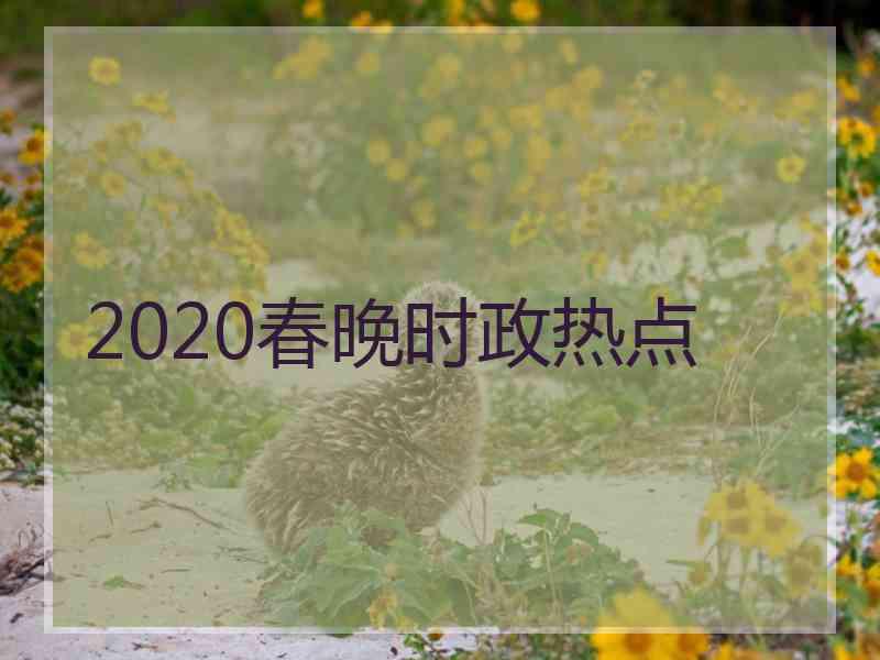 2020春晚时政热点