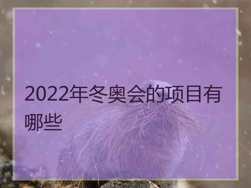 2022年冬奥会的项目有哪些