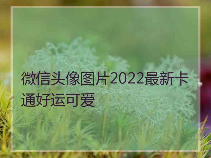 微信头像图片2022最新卡通好运可爱