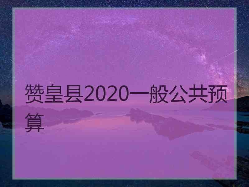 赞皇县2020一般公共预算