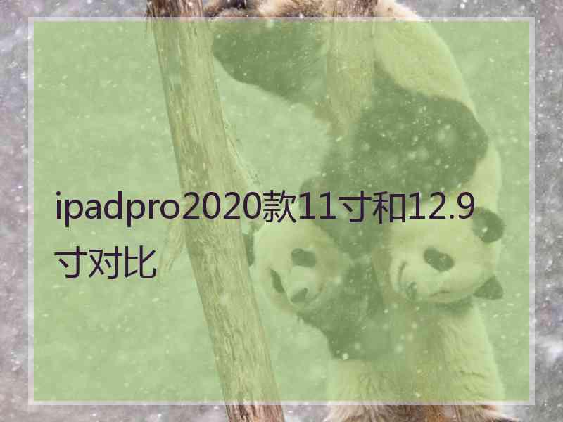 ipadpro2020款11寸和12.9寸对比