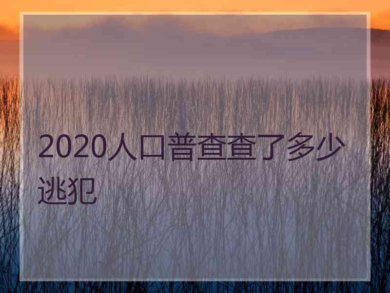 2020人口普查查了多少逃犯