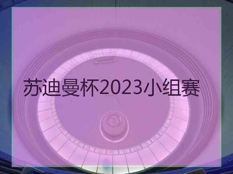 苏迪曼杯2023小组赛