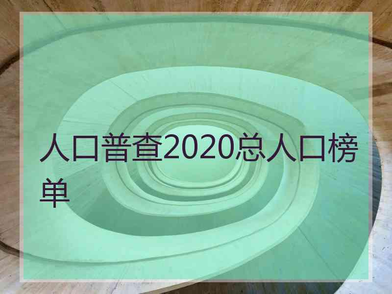 人口普查2020总人口榜单