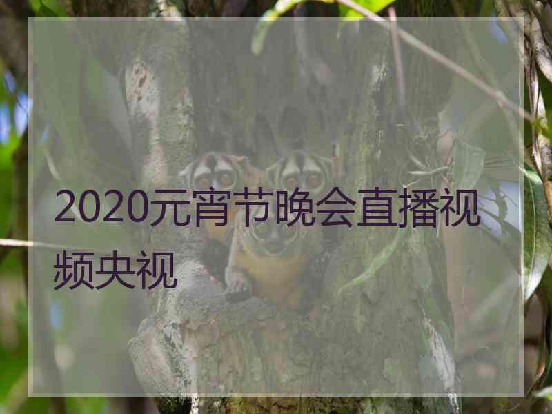 2020元宵节晚会直播视频央视