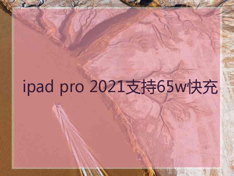 ipad pro 2021支持65w快充