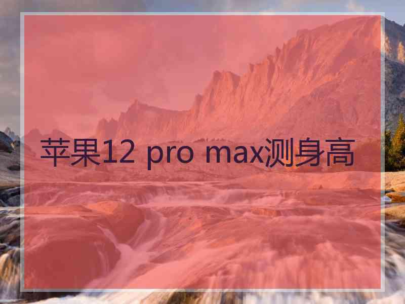 苹果12 pro max测身高