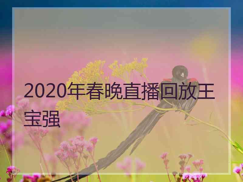 2020年春晚直播回放王宝强