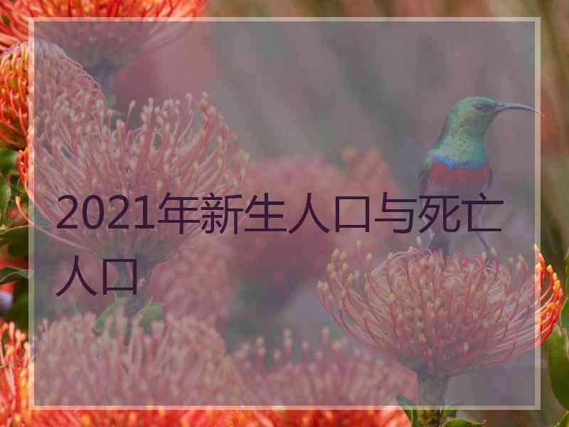 2021年新生人口与死亡人口