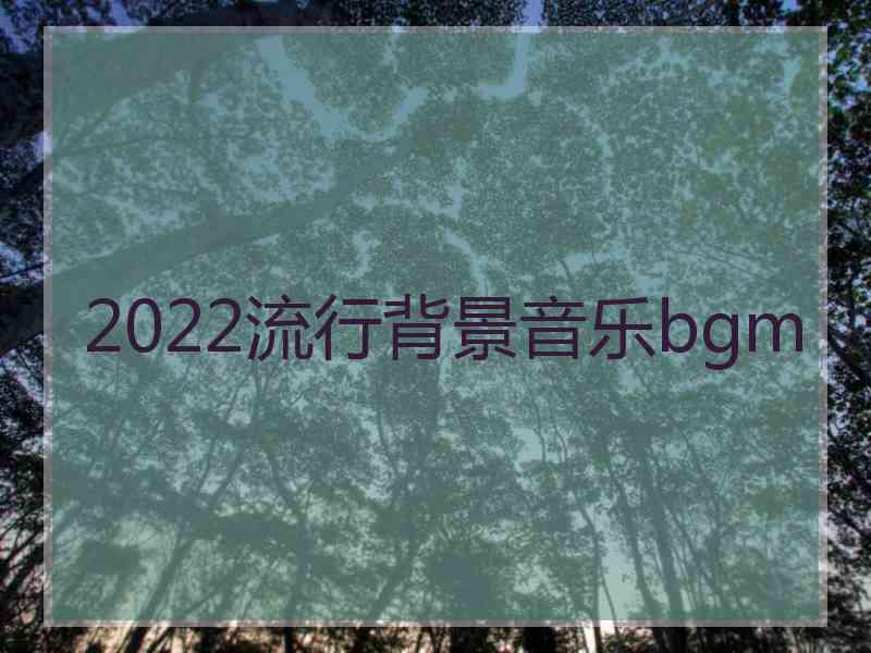 2022流行背景音乐bgm