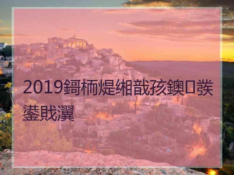 2019鎶栭煶缃戠孩鐭彂鍙戝瀷