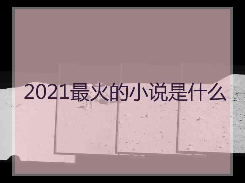 2021最火的小说是什么