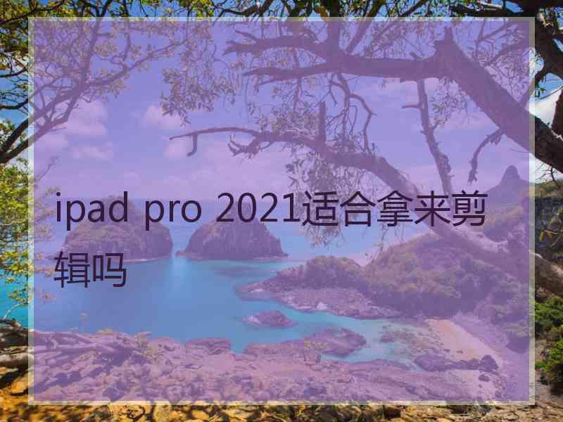 ipad pro 2021适合拿来剪辑吗