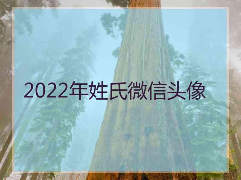 2022年姓氏微信头像