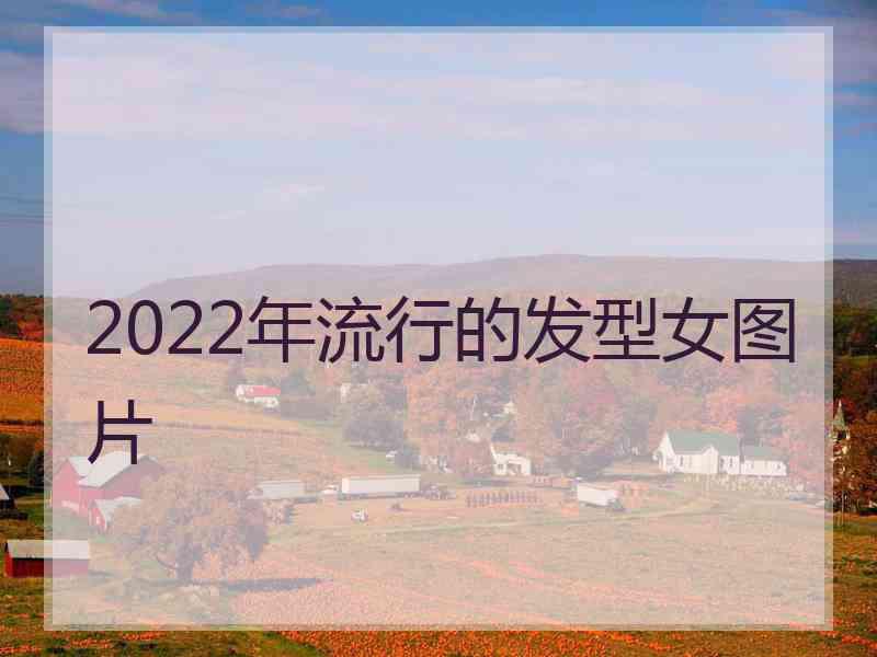 2022年流行的发型女图片