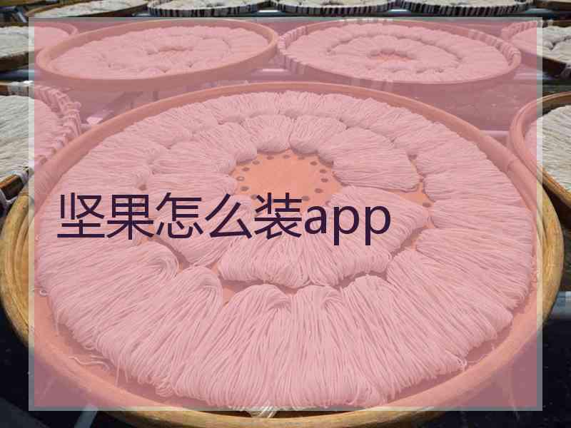 坚果怎么装app