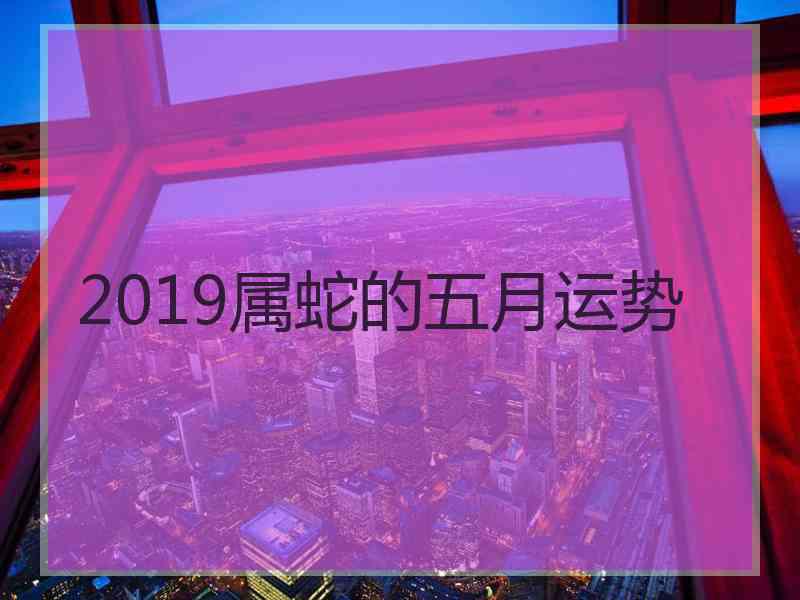 2019属蛇的五月运势