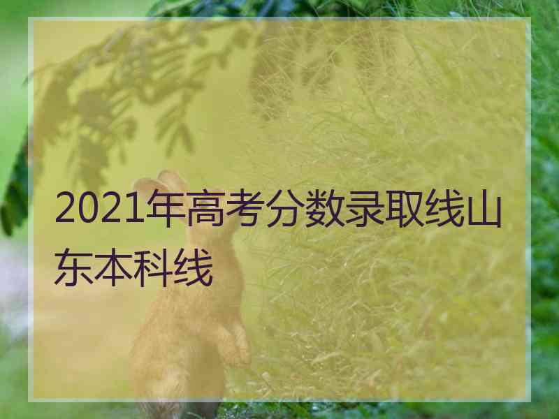 2021年高考分数录取线山东本科线