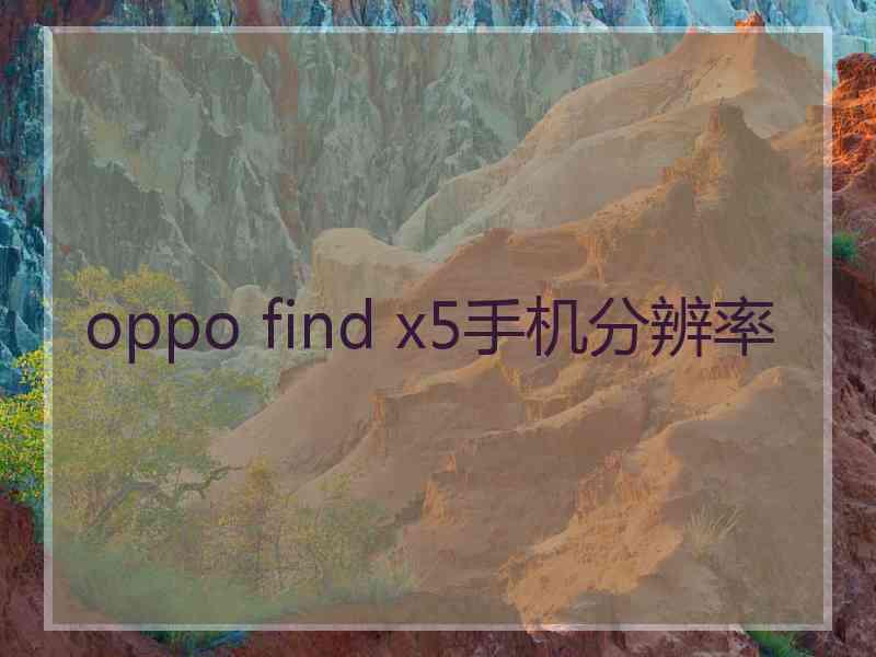 oppo find x5手机分辨率