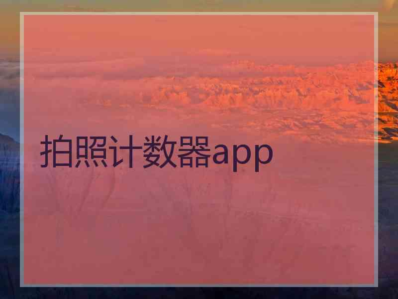 拍照计数器app