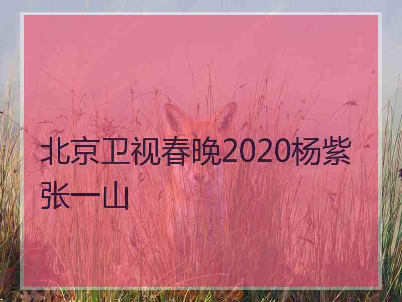 北京卫视春晚2020杨紫张一山