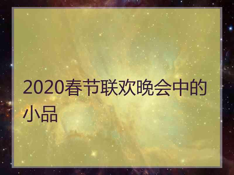 2020春节联欢晚会中的小品