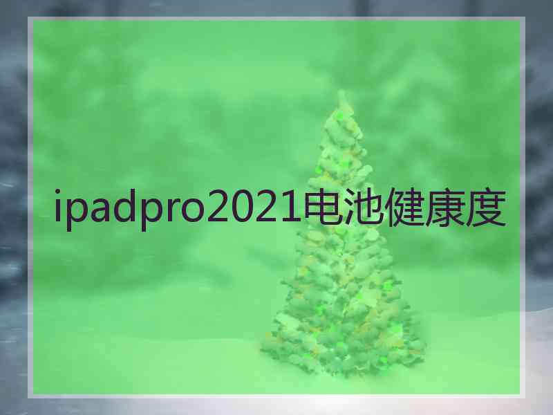 ipadpro2021电池健康度