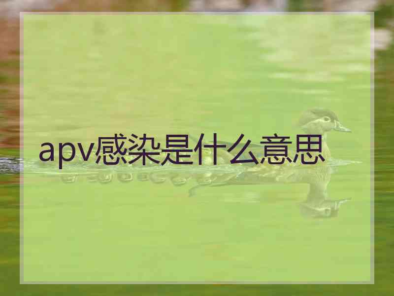 apv感染是什么意思