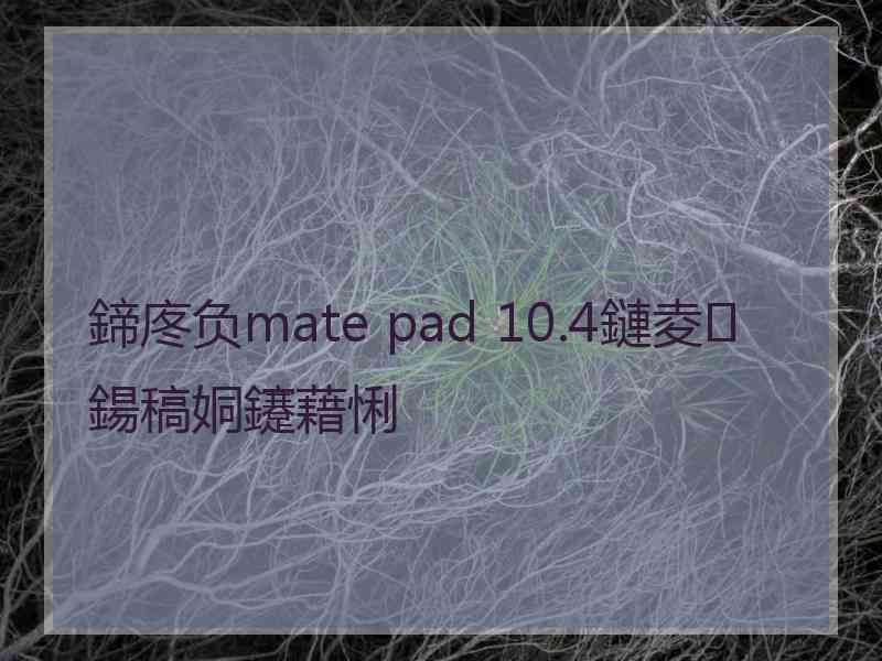 鍗庝负mate pad 10.4鏈夌鍚稿姛鑳藉悧