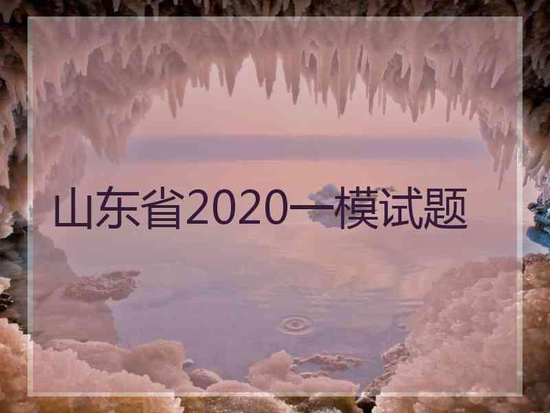 山东省2020一模试题