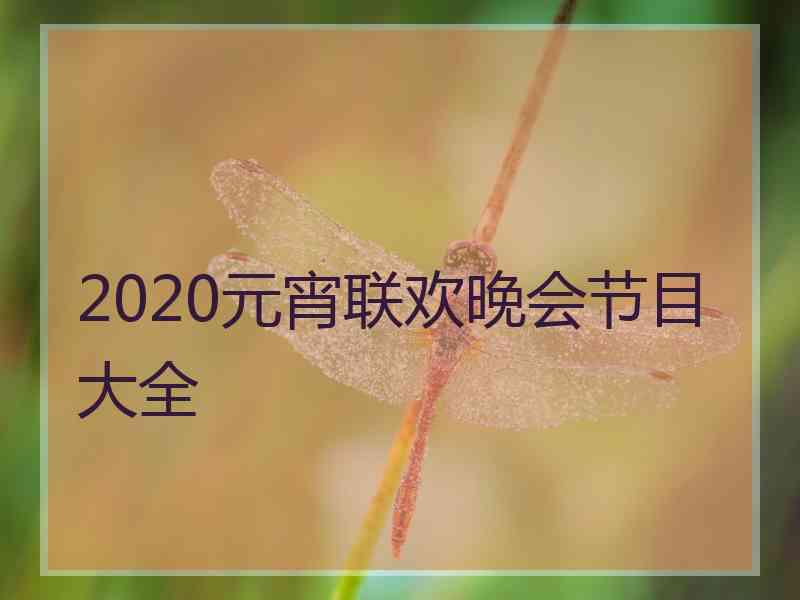 2020元宵联欢晚会节目大全