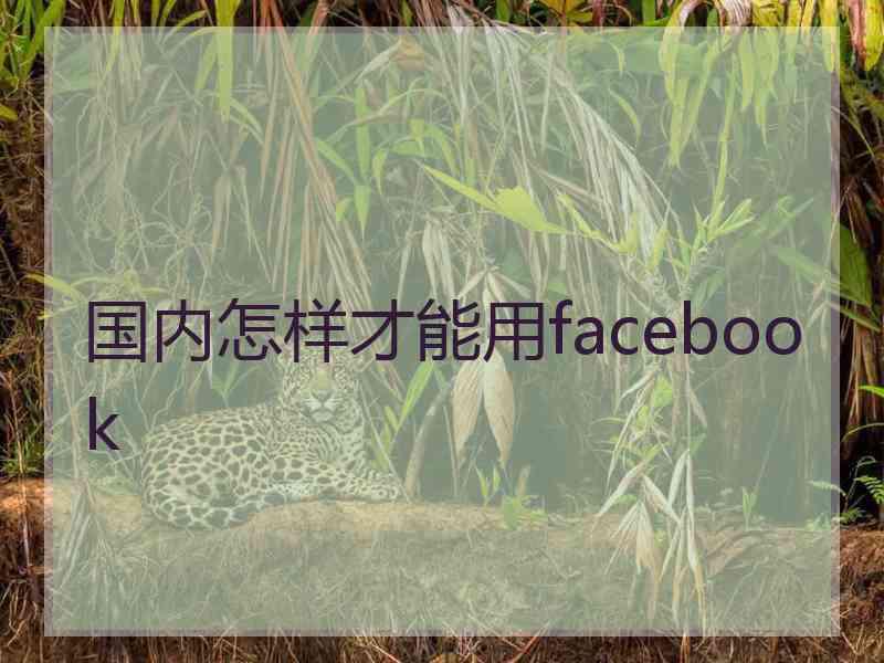 国内怎样才能用facebook