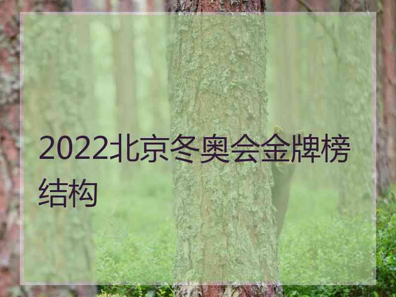 2022北京冬奥会金牌榜结构