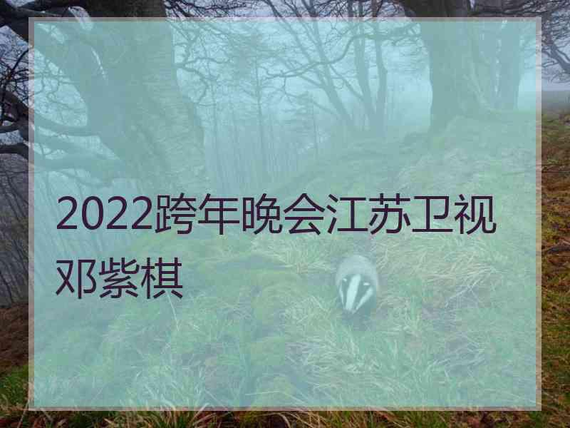 2022跨年晚会江苏卫视邓紫棋