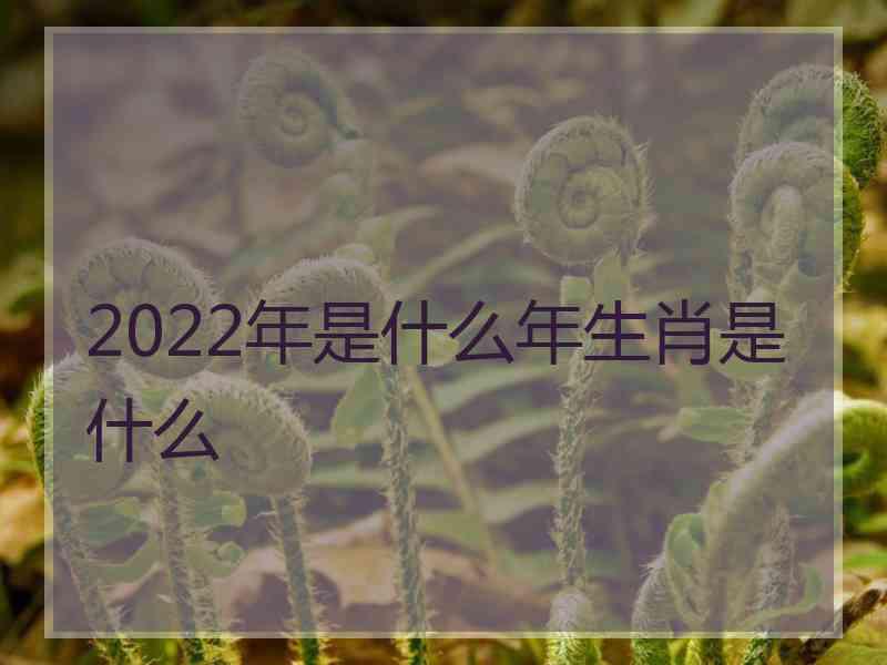 2022年是什么年生肖是什么