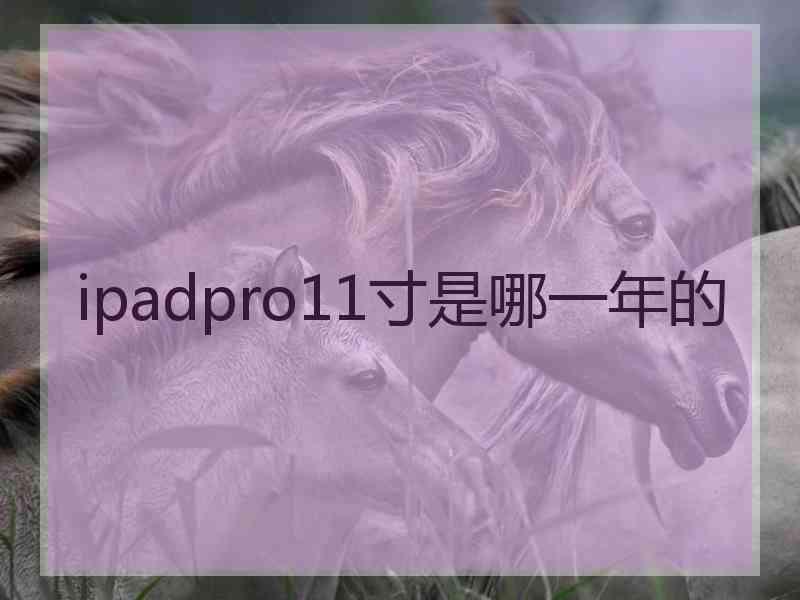 ipadpro11寸是哪一年的