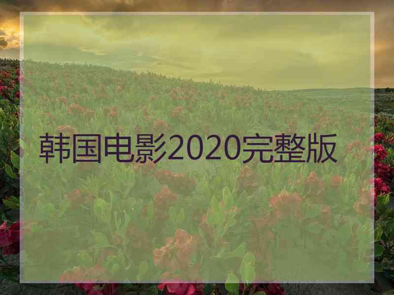 韩国电影2020完整版