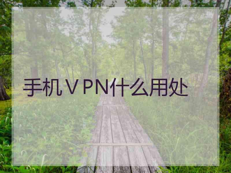 手机ⅤPN什么用处