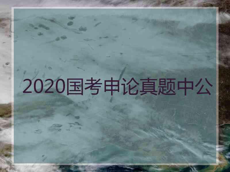 2020国考申论真题中公