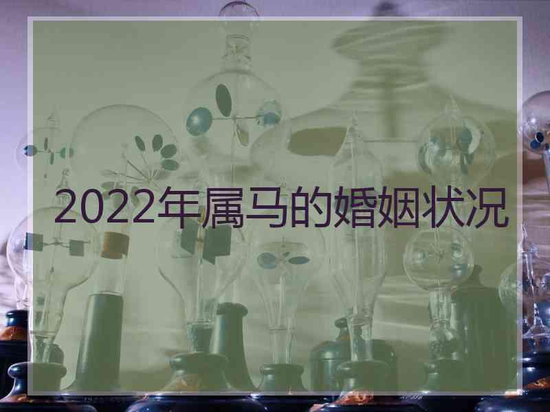 2022年属马的婚姻状况