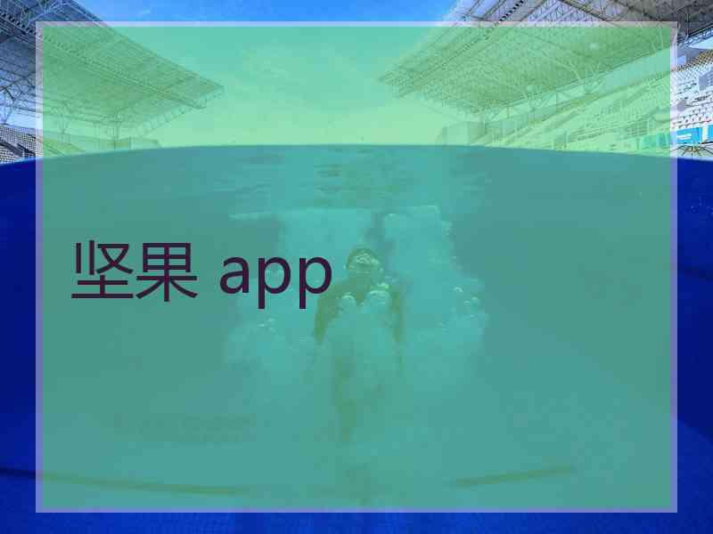 坚果 app