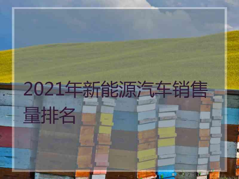 2021年新能源汽车销售量排名