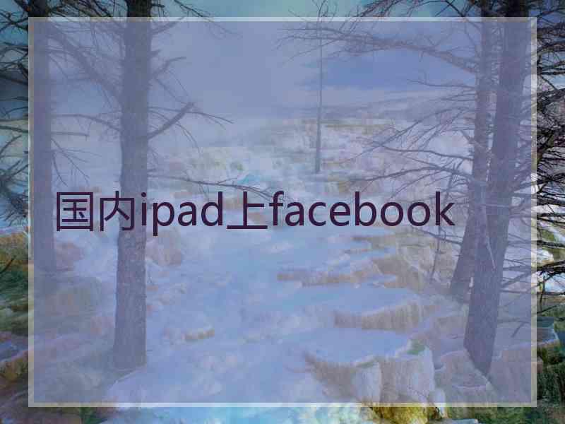 国内ipad上facebook