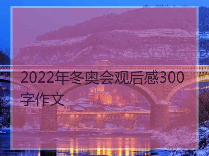 2022年冬奥会观后感300字作文