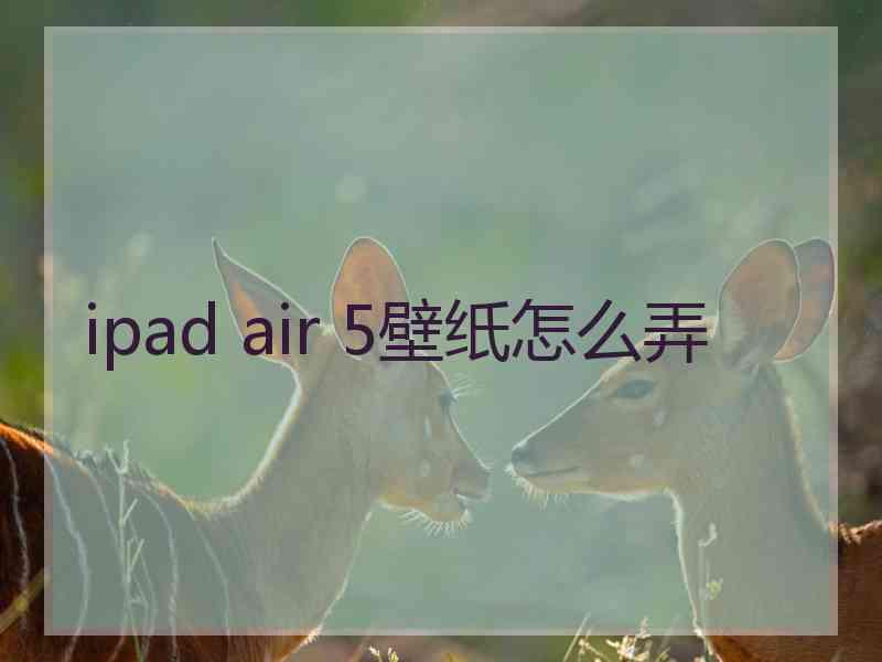 ipad air 5壁纸怎么弄